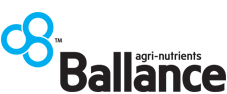 Ballance Online Store